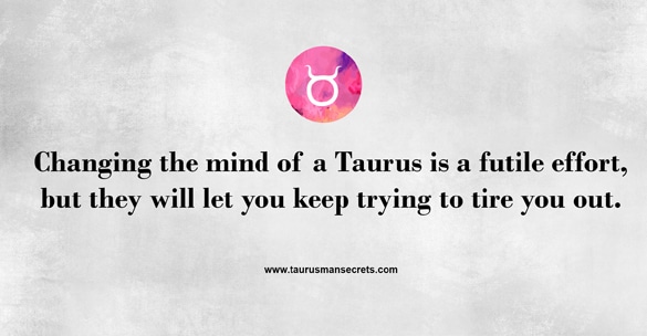 changing-the-mind-of-a-taurus-is-a-futile-effort-but-they-will-let-you-keep-trying-to-tire-you-out