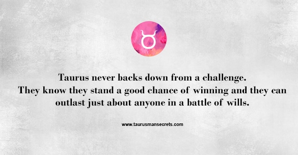 taurus-never-backs-down-from-a-challenge